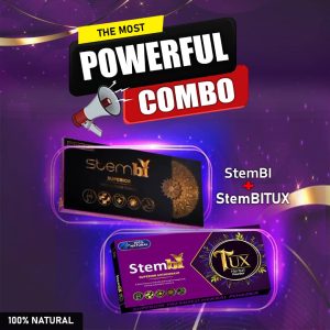 Stembi and Stembitux